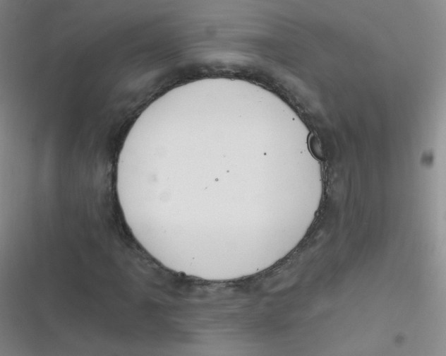 X0000116831061201001081433