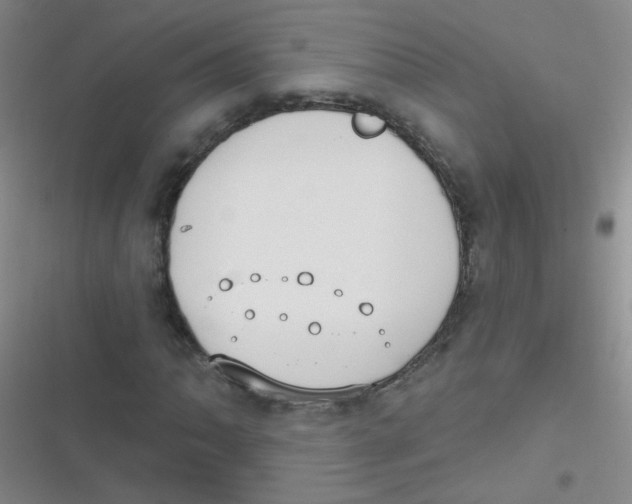 X0000116831062201001081433