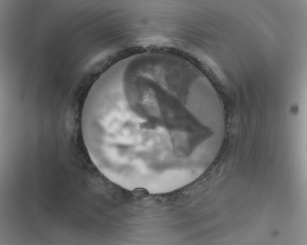 X0000116831063201001081433