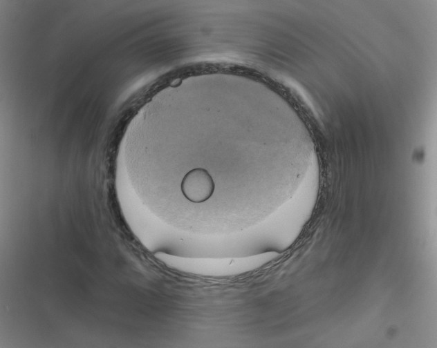 X0000116831064201001081433