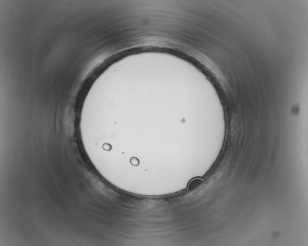 X0000116831067201001081433