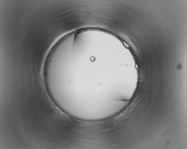 X0000116831068201001081433