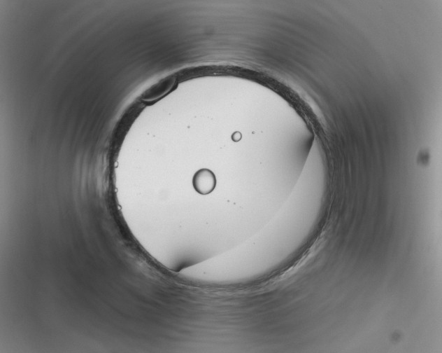 X0000116831069201001081433