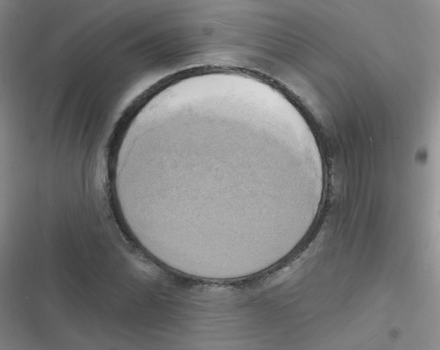 X0000116831070201001081433