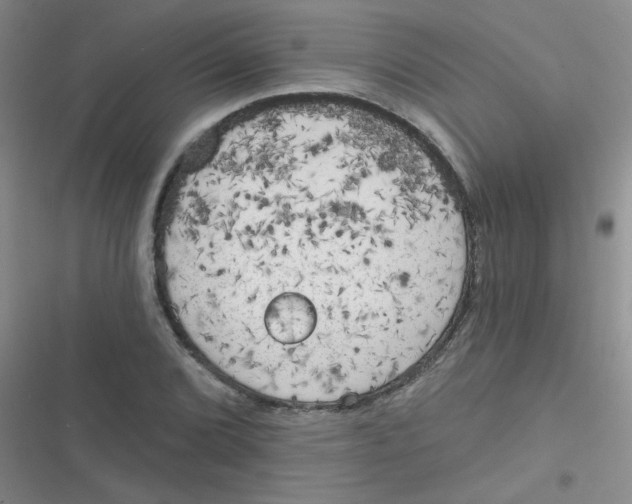 X0000116831072201001081433