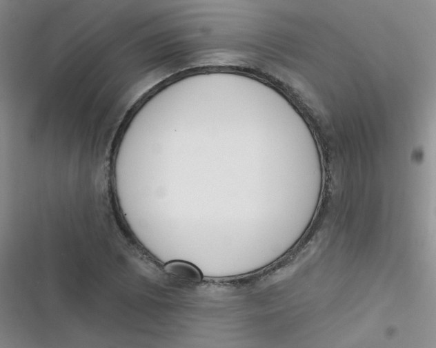 X0000116831073201001081433