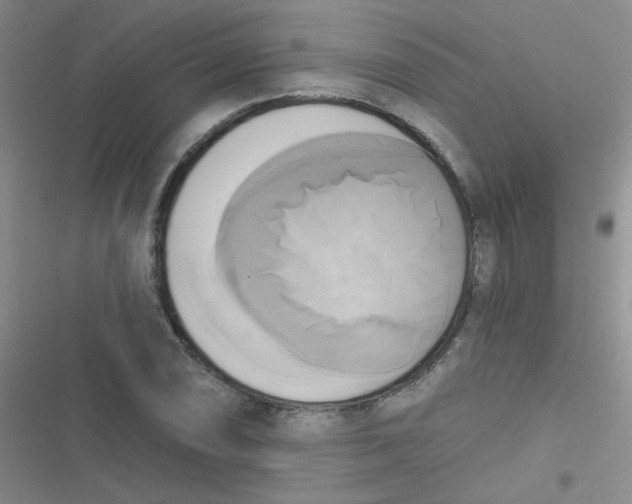 X0000116831074201001081433