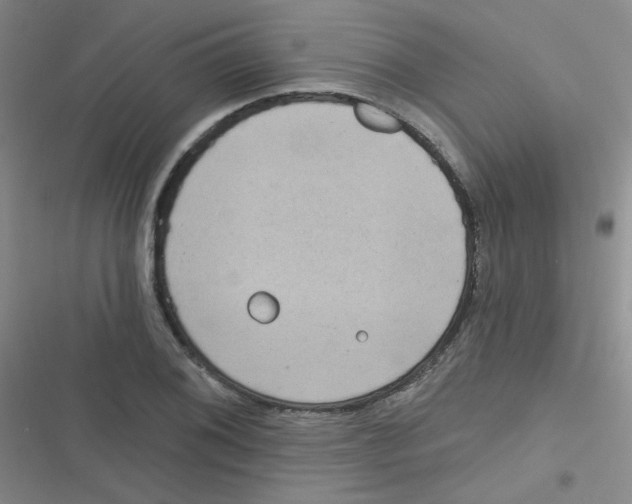 X0000116831076201001081433