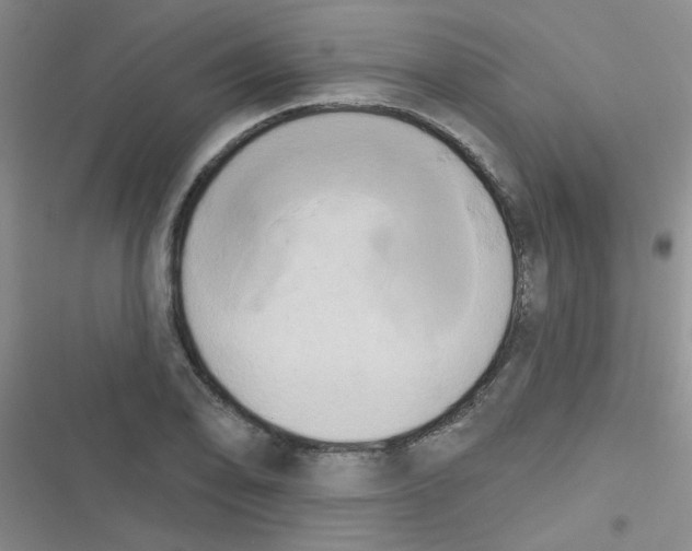 X0000116831078201001081433