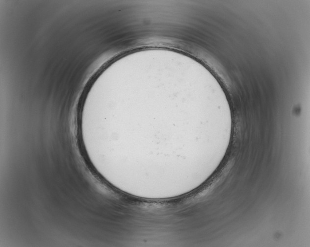 X0000116831082201001081433