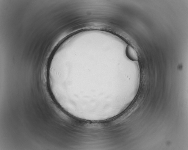 X0000116831083201001081433