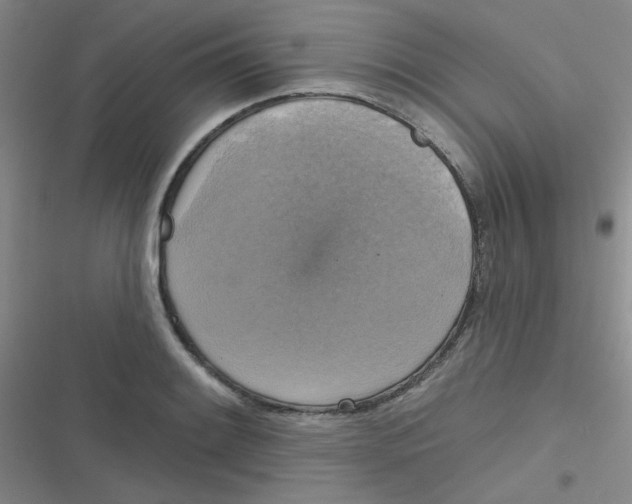 X0000116831084201001081433