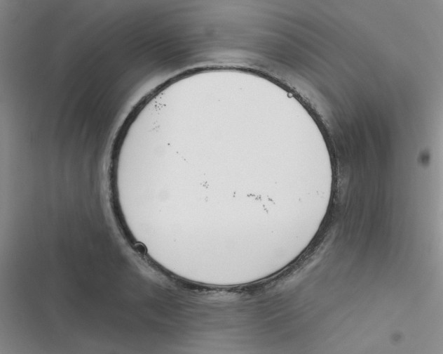 X0000116831085201001081433