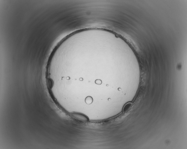 X0000116831086201001081433