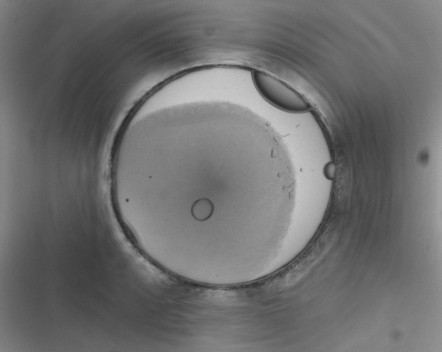 X0000116831088201001081433