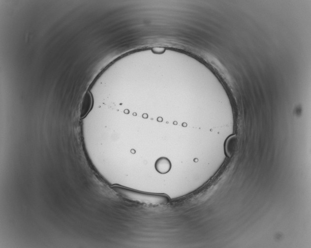 X0000116831089201001081432