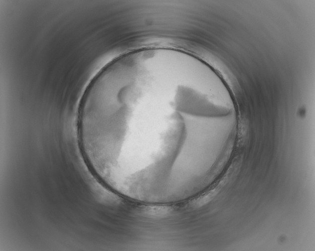 X0000116831090201001081432