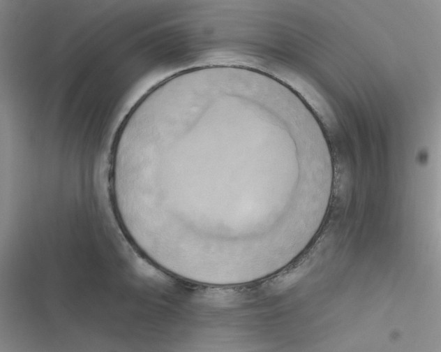 X0000116831094201001081432