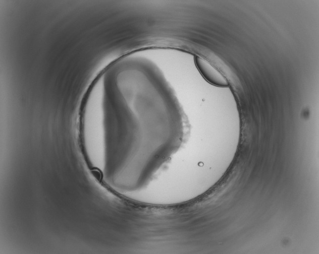 X0000116831095201001081432