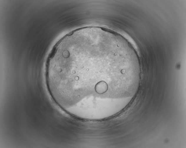 X0000116831096201001081432