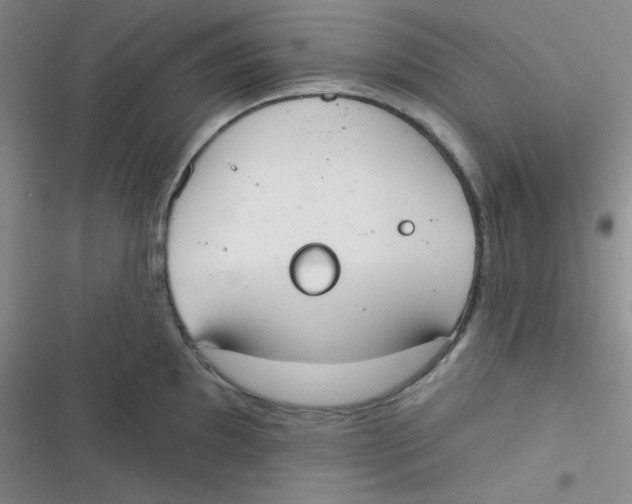 X0000116831097201001081432