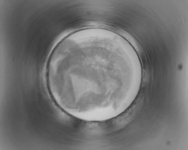 X0000116831098201001081432