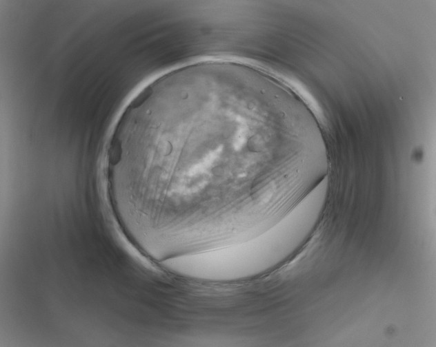 X0000116831100201001081432