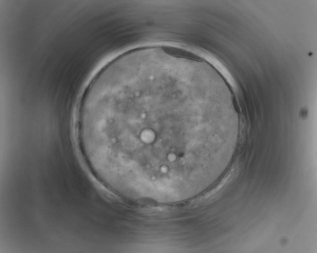 X0000116831101201001081432