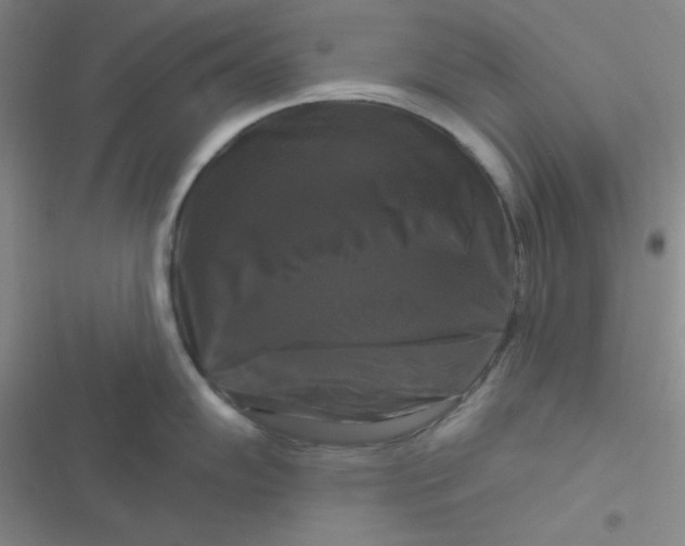 X0000116831102201001081432