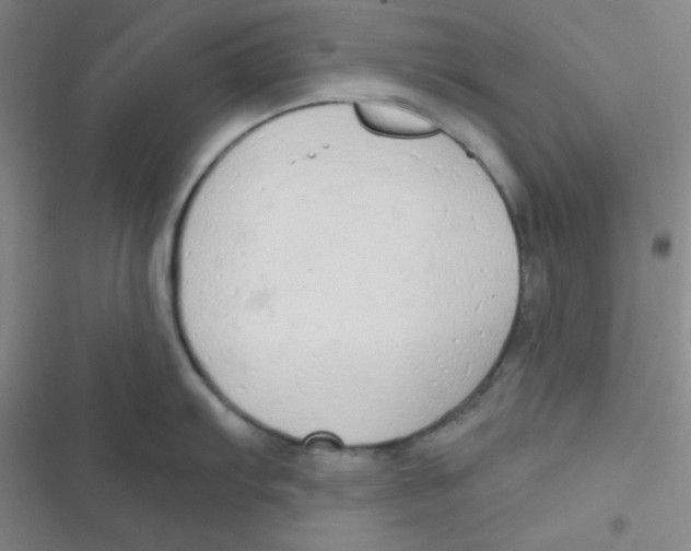 X0000116831103201001081432