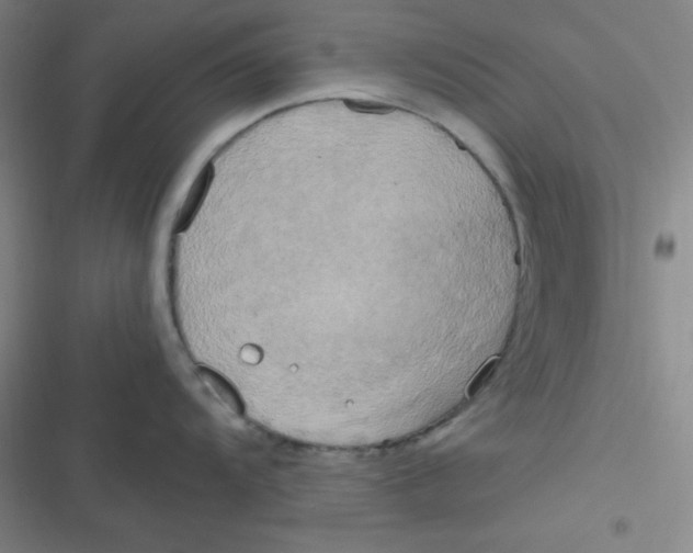 X0000116831104201001081432