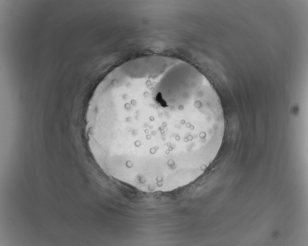 X0000116831105201001081432