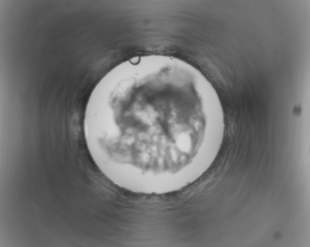 X0000116831106201001081432