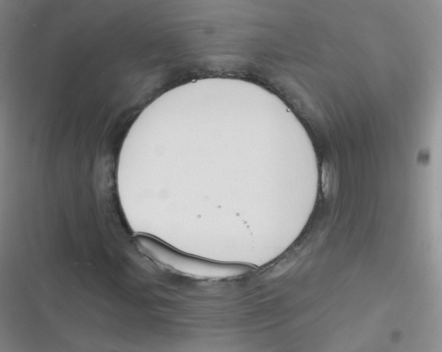 X0000116831107201001081432