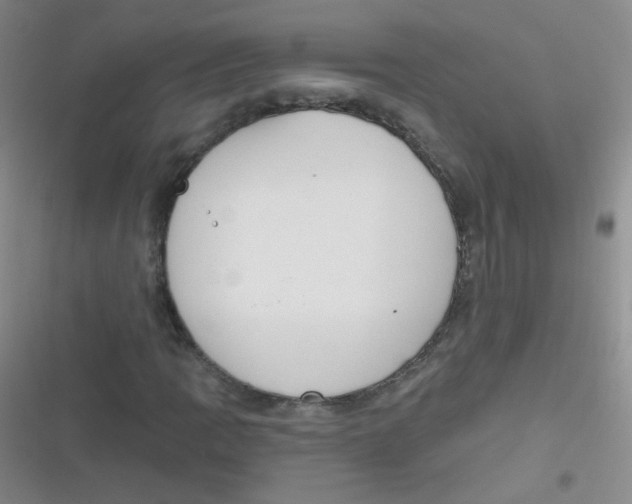 X0000116831109201001081432