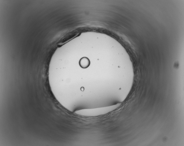 X0000116831110201001081432