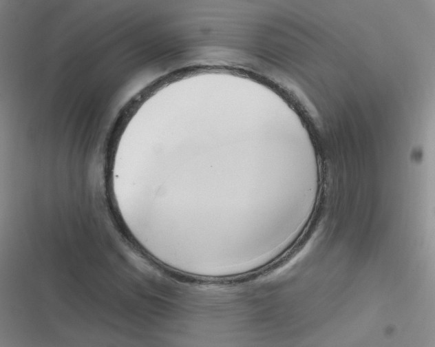 X0000116831114201001081432