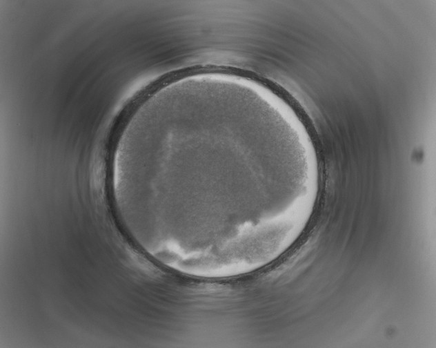 X0000116831115201001081432