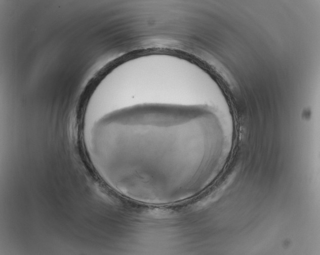 X0000116831117201001081432