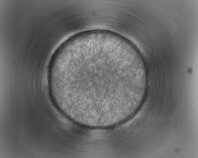 X0000116831118201001081432