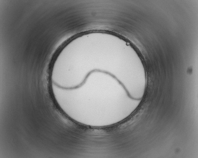 X0000116831119201001081432