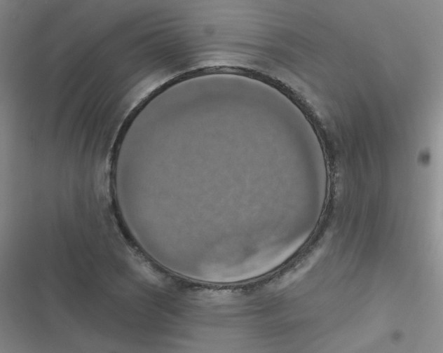 X0000116831121201001081432