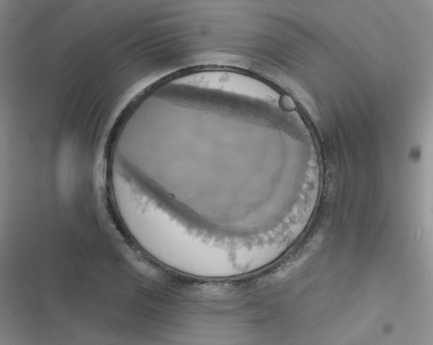 X0000116831125201001081432