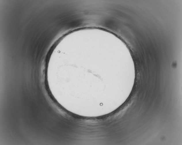 X0000116831126201001081432