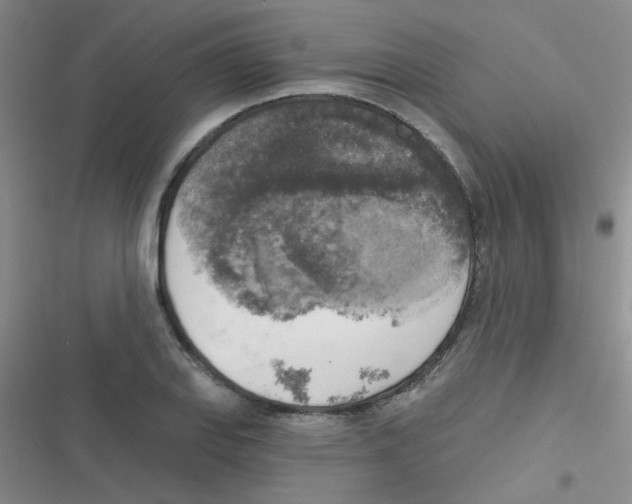 X0000116831127201001081432