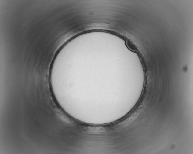 X0000116831129201001081432