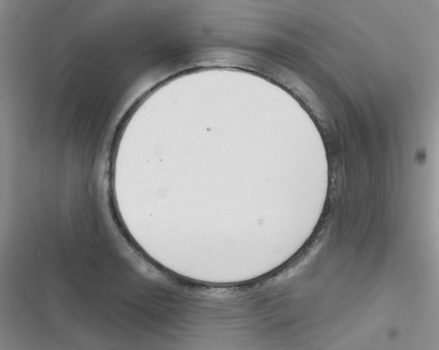 X0000116831130201001081432