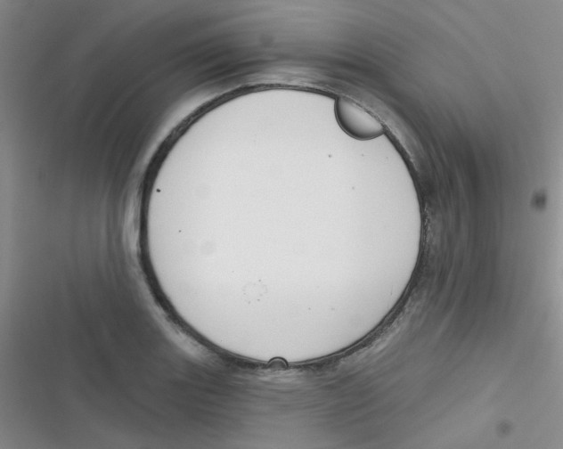 X0000116831131201001081432