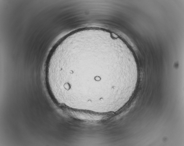 X0000116831133201001081432