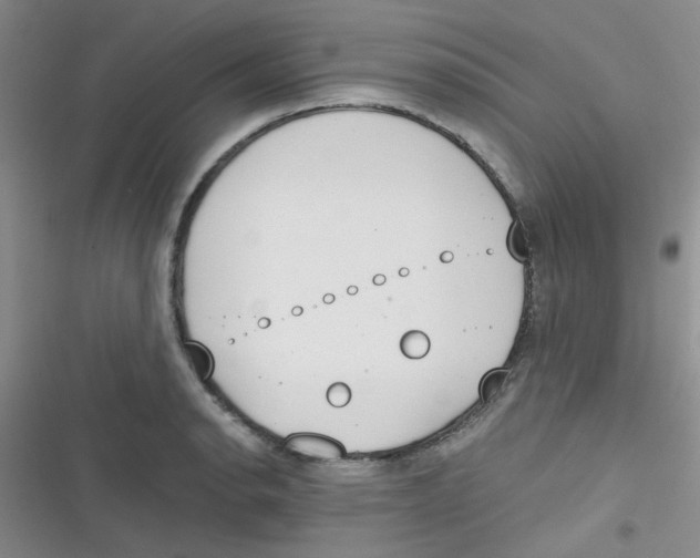 X0000116831134201001081432